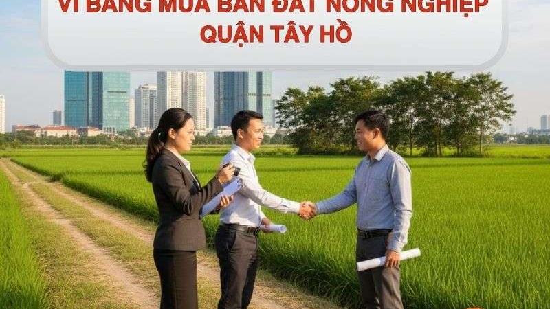 Dịch vụ lập vi bằng mua bán đất nông nghiệp quận Tây Hồ. [d77db8e0be40]
