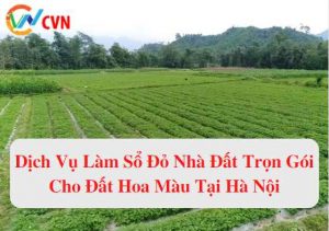 dich vu lam so do nha dat tron goi cho dat hoa mau tai ha noi 1