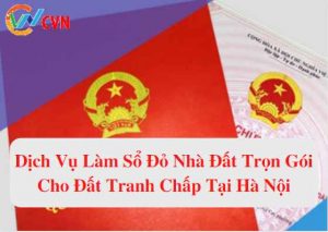 dich vu lam so do nha dat tron goi cho dat tranh chap tai ha noi 1