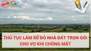 dich-vu-lam-so-do-nha-dat-tron-goi-dat-cho-vo-khi-chong-mat-