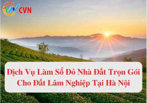 dich vu lam so do nha dat tron goi cho dat lam nghiep tai ha noi