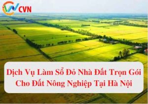dich vu lam so do nha dat tron goi cho dat nong nghiep tai ha noi
