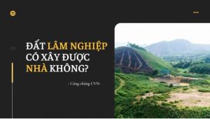 nhieu-nguoi-thac-mac-dat-lam-nghiep-co-xay-duoc-nha-khong