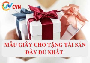 mau-giay-cho-tang-tai-san-ava