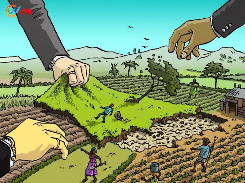 Mua Bán Đất Bằng Vi Bằng Có Hợp Pháp Không? Rủi Ro Và Hậu Quả Pháp Lý 4 Hình thức mua bán đất vi bằng tiềm ẩn nhiều rủi ro pháp lý nghiêm trọng